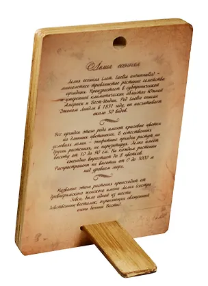 Плакетка Лилия Осенняя (1РВ_012) (18х12) 2549540
