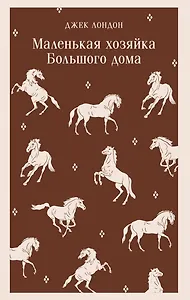 Маленькая хозяйка Большого дома