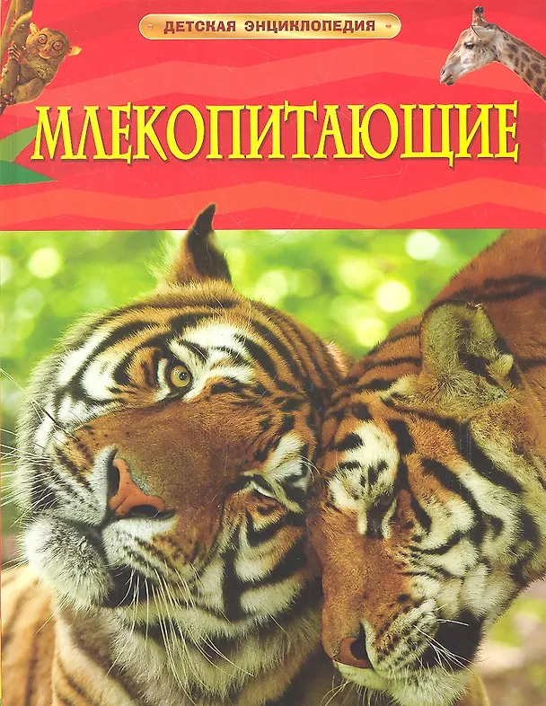Книга Млекопитающие (Дэвид Берни) — 1