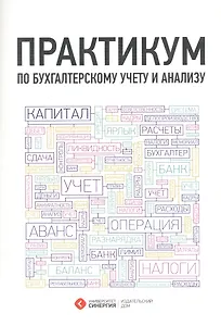 Практикум по бухгалтерскому учету и анализу. 3-е изд. стер.