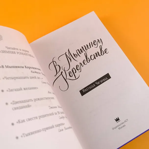 Книга В Мышином Королевстве (Настасья Чигирина) — 7