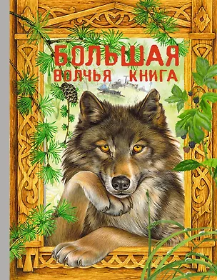 Книга Большая волчья книга : сказки. (Ирина Котовская)