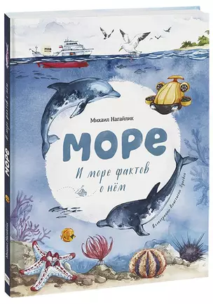 Море. И море фактов о нем — 2866884 — 1