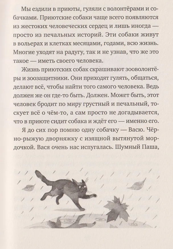 Книга У кота была собака (Анастасия Шанская) — 4