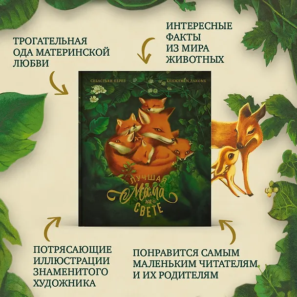 Книга Лучшая мама на свете (Себастьен Перез) — 3
