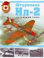 Штурмовик Ил-2."Летающий танк" — 2138339 — 1