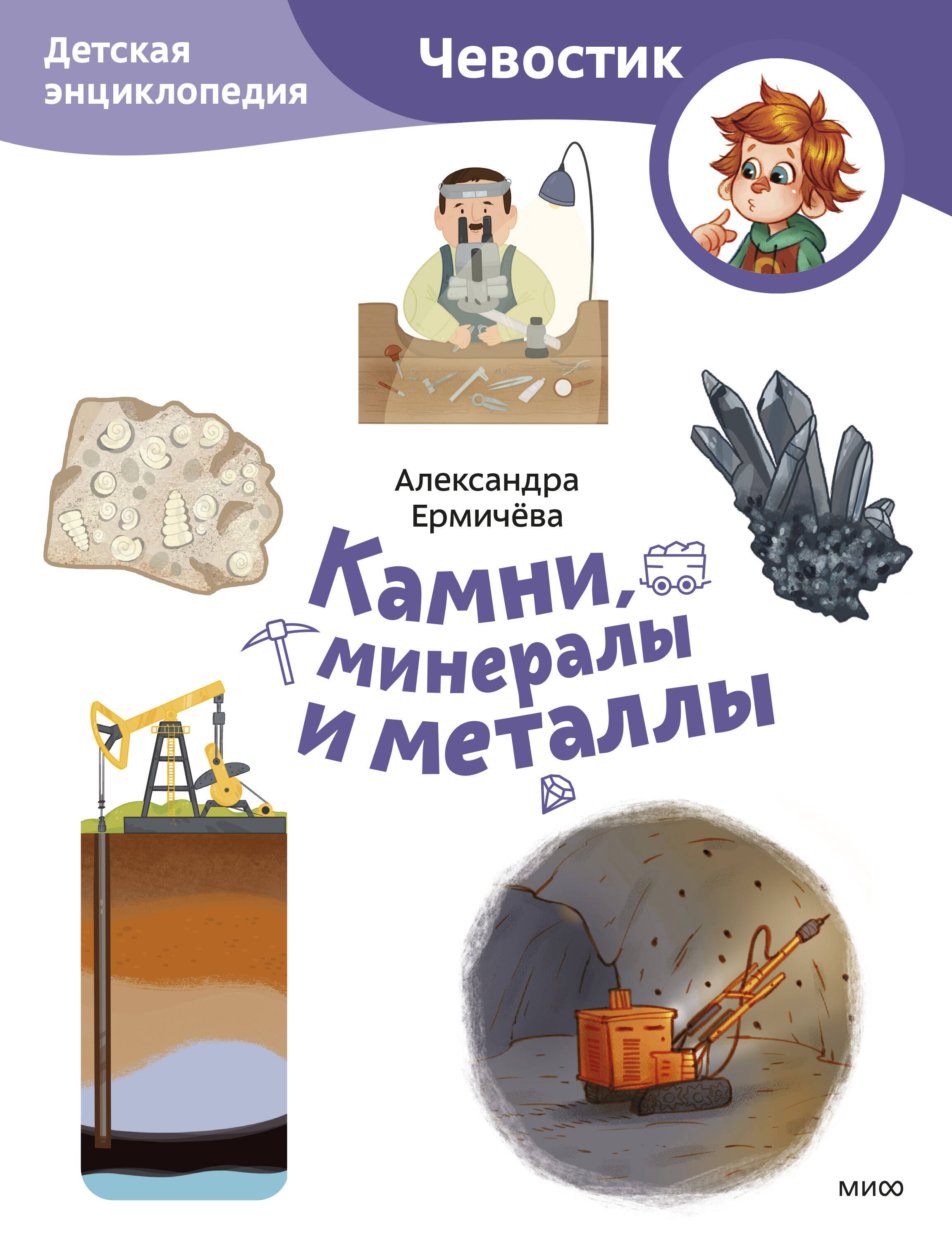 

Камни, минералы и металлы. Детская энциклопедия (Чевостик) (Paperback)