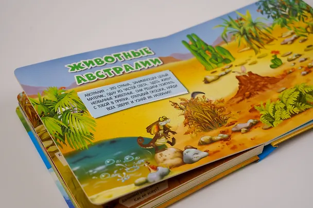 Книга Моя первая книга с окошками () — 14