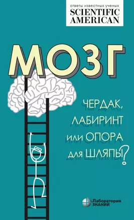 Мозг: чердак, лабиринт или опора для шляпы? — 2780205 — 1