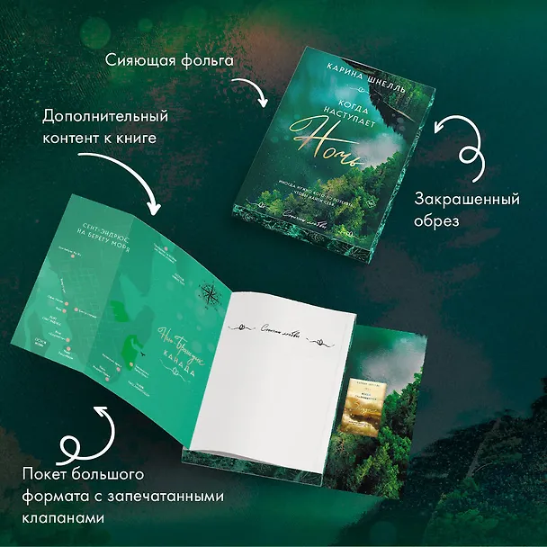 Книга Когда наступает ночь (Карина Шнелль) — 9