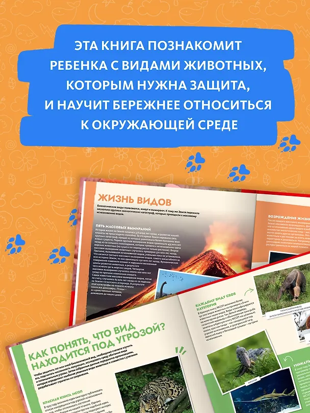 Книга S.O.S. Красная книга (Эманюэль Грундманн) — 6