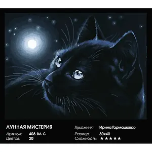 Набор для творчества Живопись на холсте: 408-BA-C Лунная мистерия