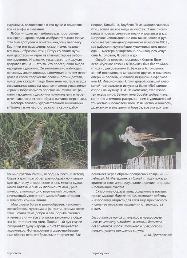 Книга Изображение птицы в  декоративно-прикладном  искусстве. Трансформация (Мария Якушева) — 4