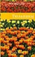 Тюльпаны