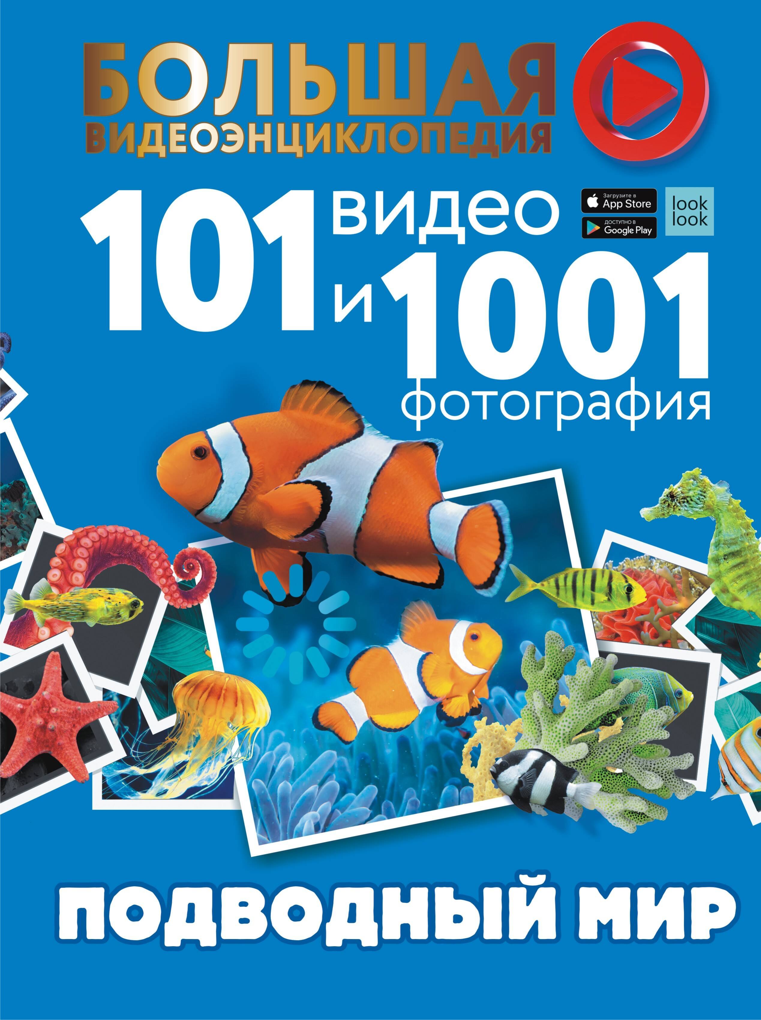 

Подводный мир. 101 видео и 1001 фотография