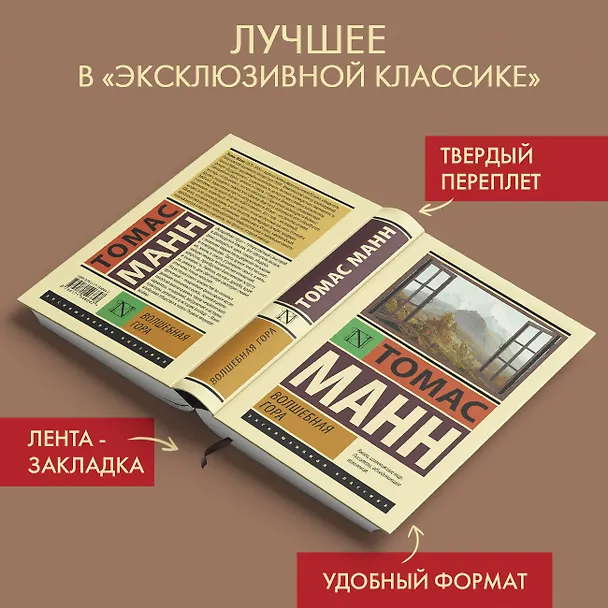 Книга Волшебная гора (Томас Манн) — 4