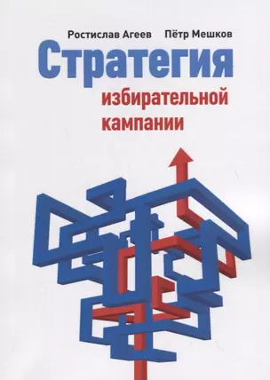 Стратегия избирательной кампании — 2701084 — 1