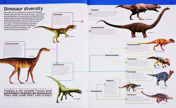 Книга Knowledge Encyclopedia Dinosaur! () — 4
