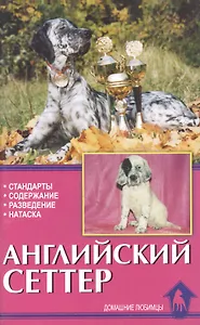 Английский сеттер