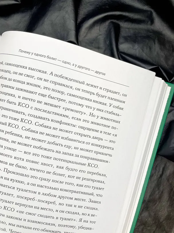 Книга Доказательная психосоматика: факты и научный подход. Очень полезная книга для всех, кто думает о здоровье (Тимофей Кармацкий) — 18
