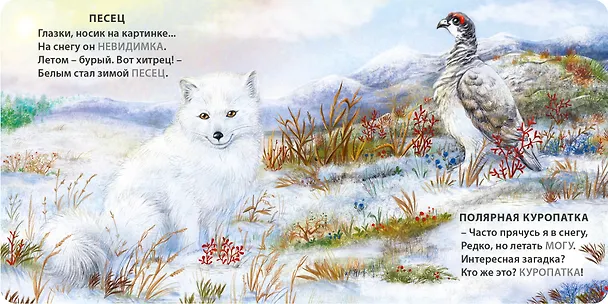 Книга Животные - невидимки. Загадки-рифмы (Евгений Сосновский) — 8