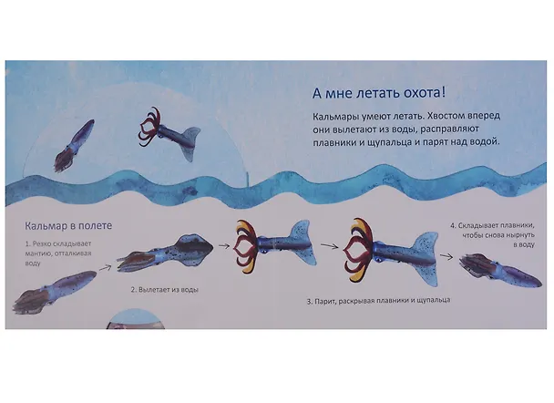 Книга Мы тоже можем (Голдфингер) (картон) (Сара Голдфингер) — 3