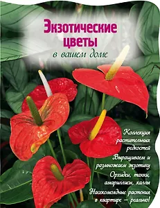 Экзотические цветы в вашем доме