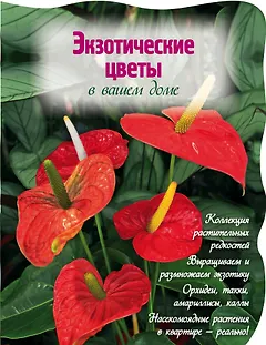 Экзотические цветы в вашем доме