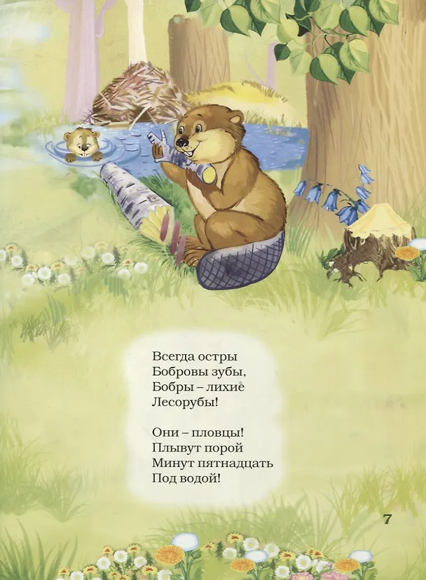Книга Лесные  жители (6+) (Александр Маковский) — 4