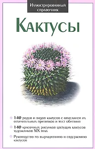 Кактусы