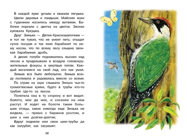 Книга Синичкин календарь (Виталий Бианки) — 4