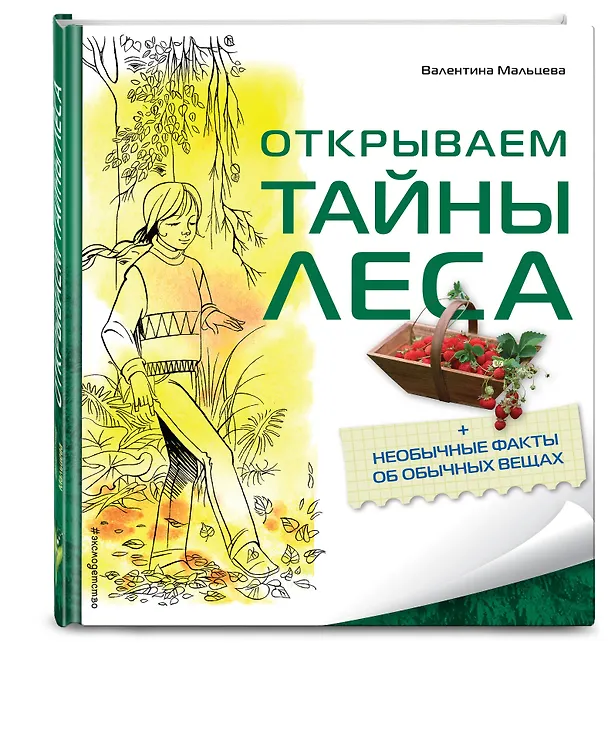Книга Открываем тайны леса (Валентина Мальцева) — 4