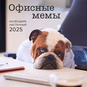 Календарь 2025г 300*300 "Офисные мемы" настенный, на скрепке — 3053248 — 1