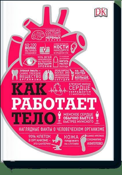 

Как работает тело