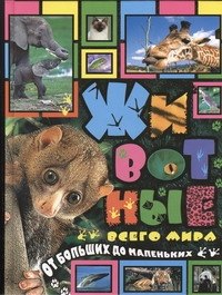 

Животные всего мира от больших до маленьких