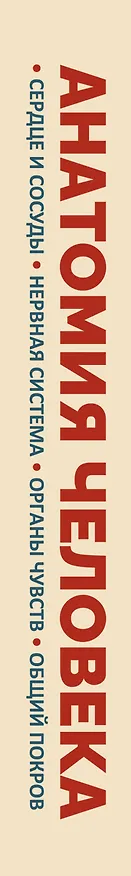 Книга Анатомия человека. Сердце и сосуды, нервная система, органы чувств, общий покров (Владимир Николенко) — 3