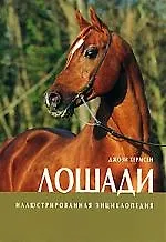 Книга Лошади Иллюстрированная энциклопедия ()