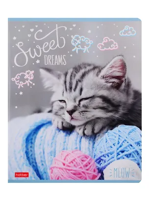 Тетрадь в клетку Hatber, "По имени Мяу", 48 листов, в ассортименте 255012