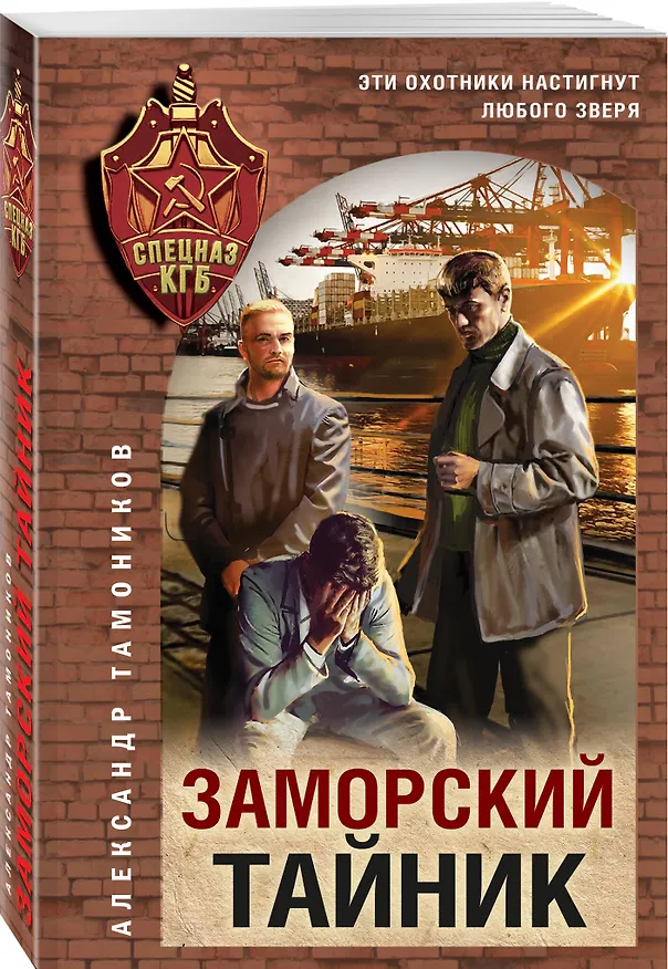 Книга Заморский тайник (Александр Тамоников) — 4