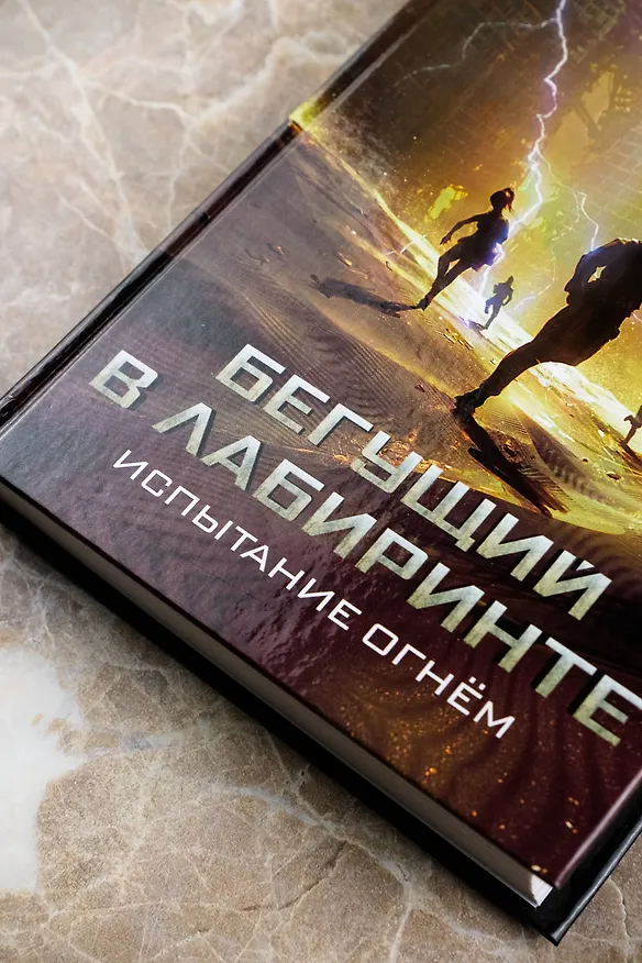 Книга Испытание огнем (Джеймс Дэшнер) — 6