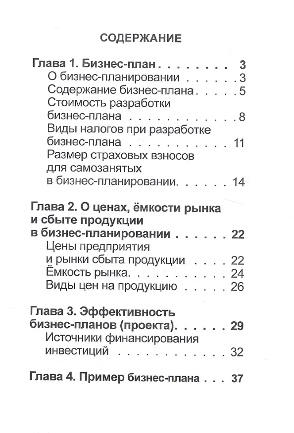 Книга Бизнес-план (Дмитрий Белобородов) — 2