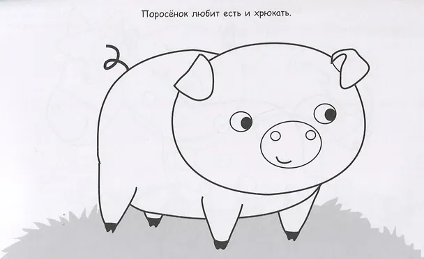 Книга Божья коровка () — 4