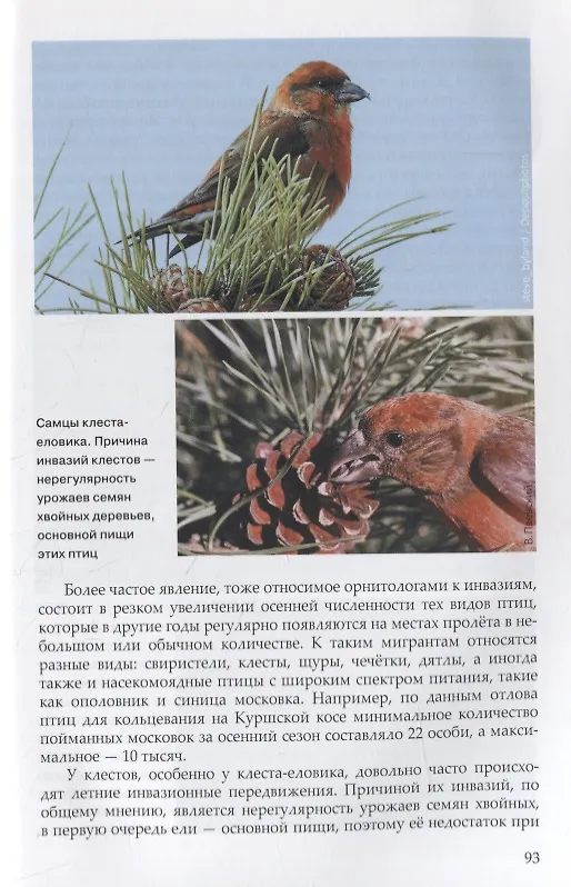 Книга Загадки птичьих миграций (Владимир Паевский) — 4