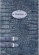 Записная книжка А6- 200л "NOTEBOOK" 29679, офсет, 7БЦ, поролон, глянц.лам., ляссе, вырубка, Феникс