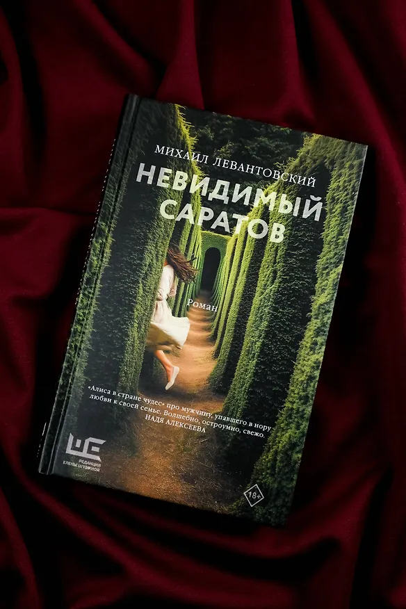Книга Невидимый Саратов (Михаил Левантовский) — 6