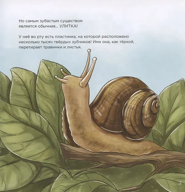 Книга Книжка про зубы (Анастасия Крачковская) — 3