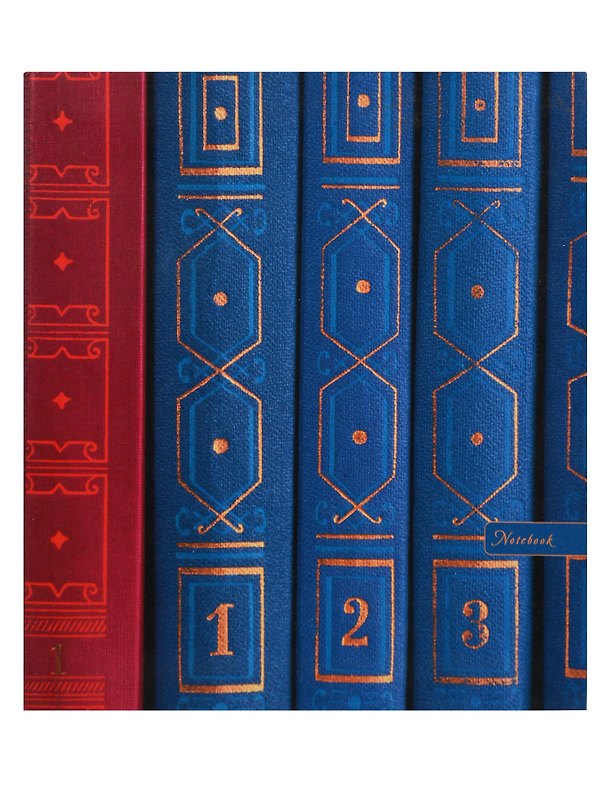 Книга для записей «Стиль жизни. Книжная коллекция», А5, 120 листов, Listoff 338985 — 1