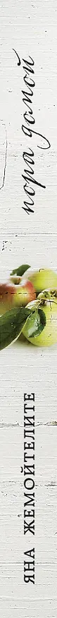 Книга Пора домой (Яна Жемойтелите) — 3
