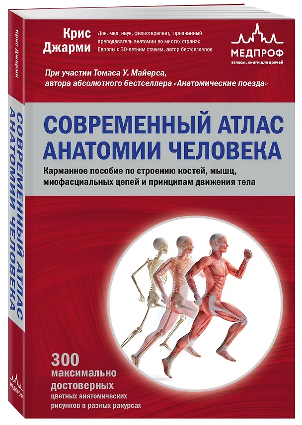 Книга Современный атлас анатомии человека. Карманное пособие по строению костей, мышц, миофасциальных цепей и принципам движения тела (Крис Джарми) — 4