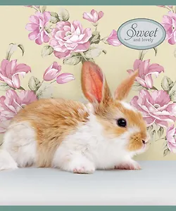 Тетрадь 18л лин. "Питомцы" офсет, ВД-лак, мел.картон, ассорти, Спейс